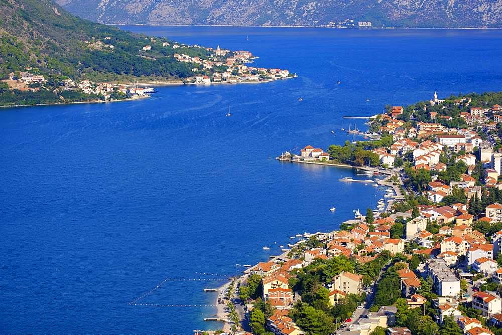 Dobrota and Prcanj, view from fortress Sveti Ivan in Kotor, bay of Kotor, Montenegro, Europe