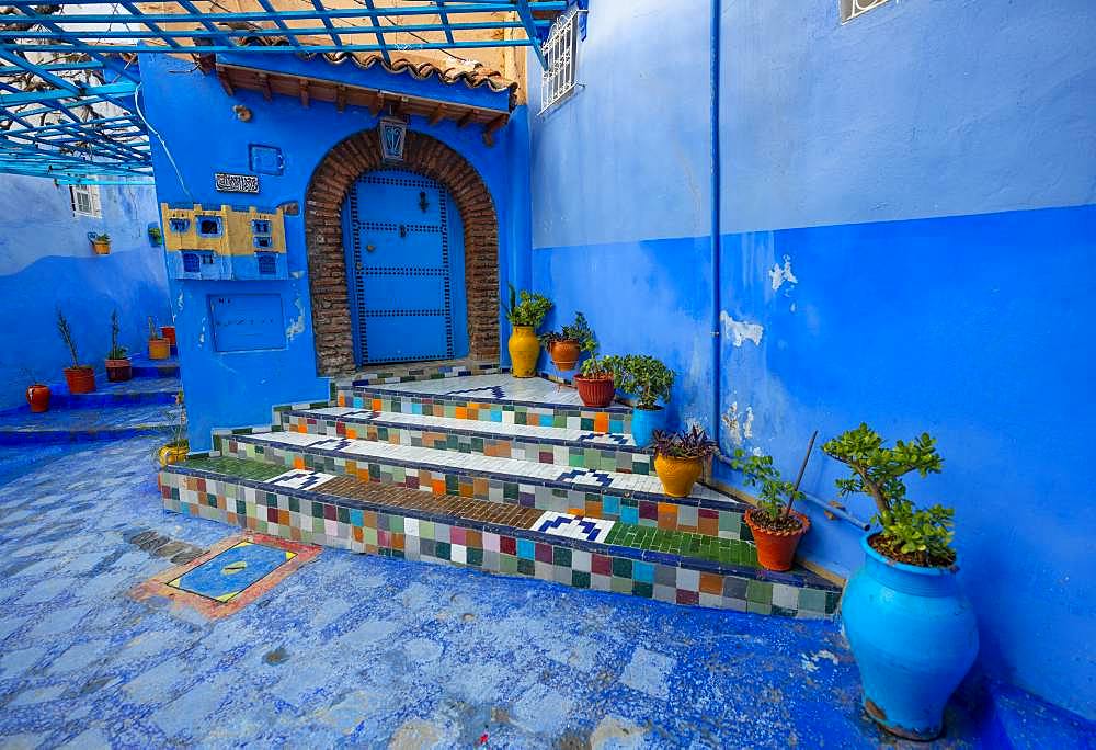 Colorfully tiled staircase with flower pots, blue entrance door, narrow alley, medina of Chefchaouen, Chaouen, Tanger-Tetouan, Morocco, Africa