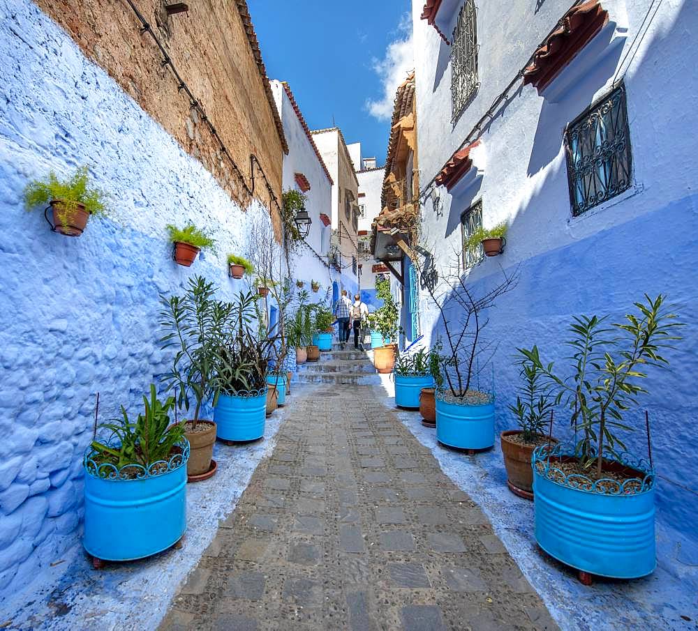 Narrow alley with flower pots, blue houses, medina of Chefchaouen, Chaouen, Tanger-Tetouan, Morocco, Africa