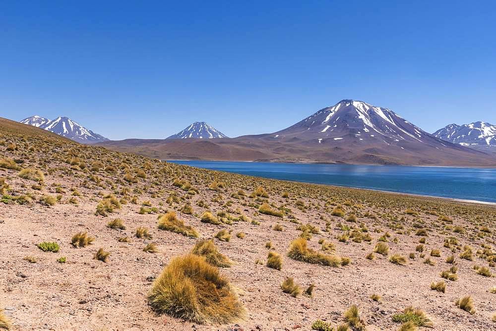 Lagoon, Laguna Miscanti with volcano Chiliques and Cerro Miscanti, Altiplano, Region de Antofagasta, Chile, South America