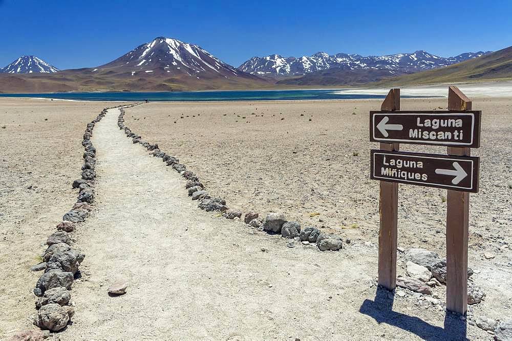 Guide to the lagoon, Laguna Miscanti with Volcano Chiliques and Cerro Miscanti, Altiplano, Region de Antofagasta, Chile, South America