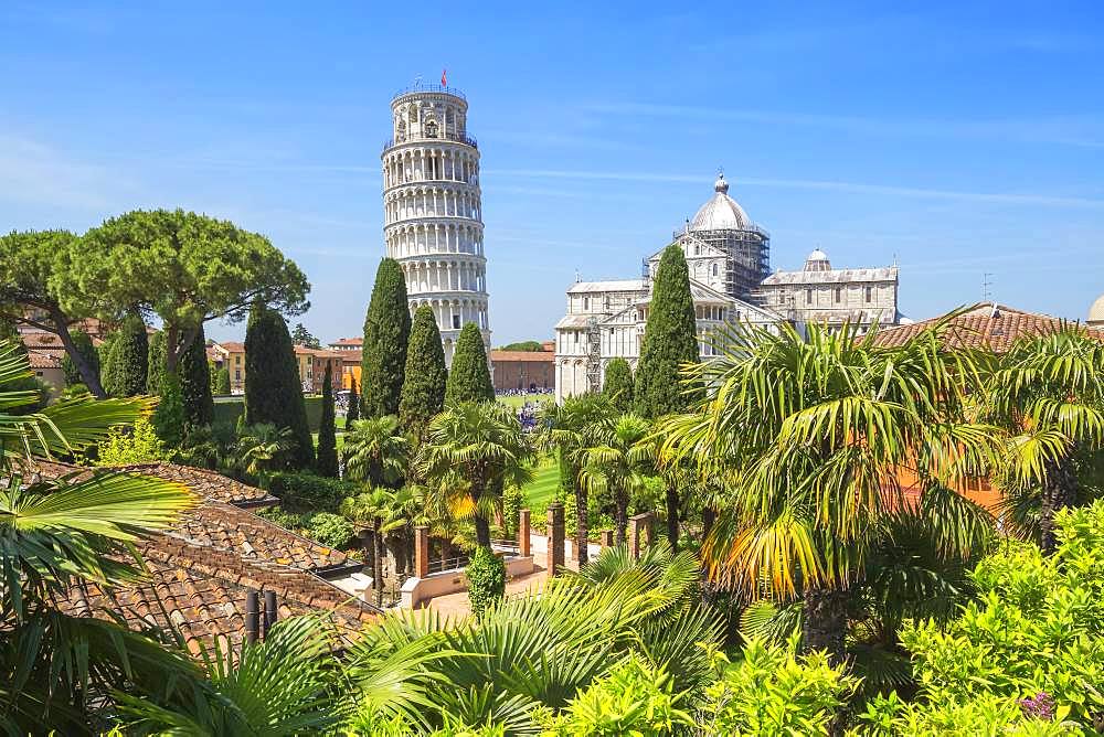 Leaning Tower, Campo dei Miracoli, Pisa, Tuscany, Italy, Europe