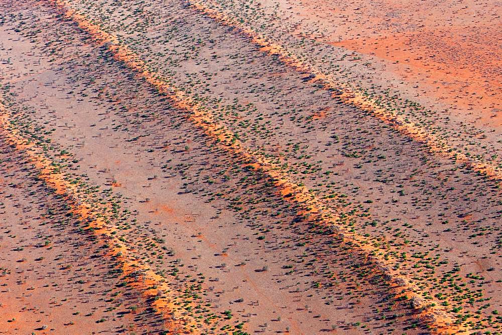 Dune landscape of the Kalahari, Hardap, Namibia, Africa