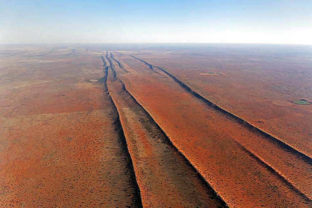 Dune landscape of the Kalahari, Hardap, Namibia, Africa