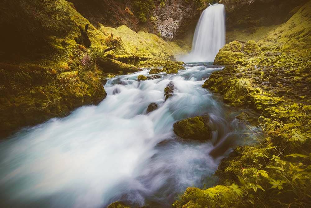 Waterfall, long-term exposure, Sahalie Falls, Oregon, USA, North America