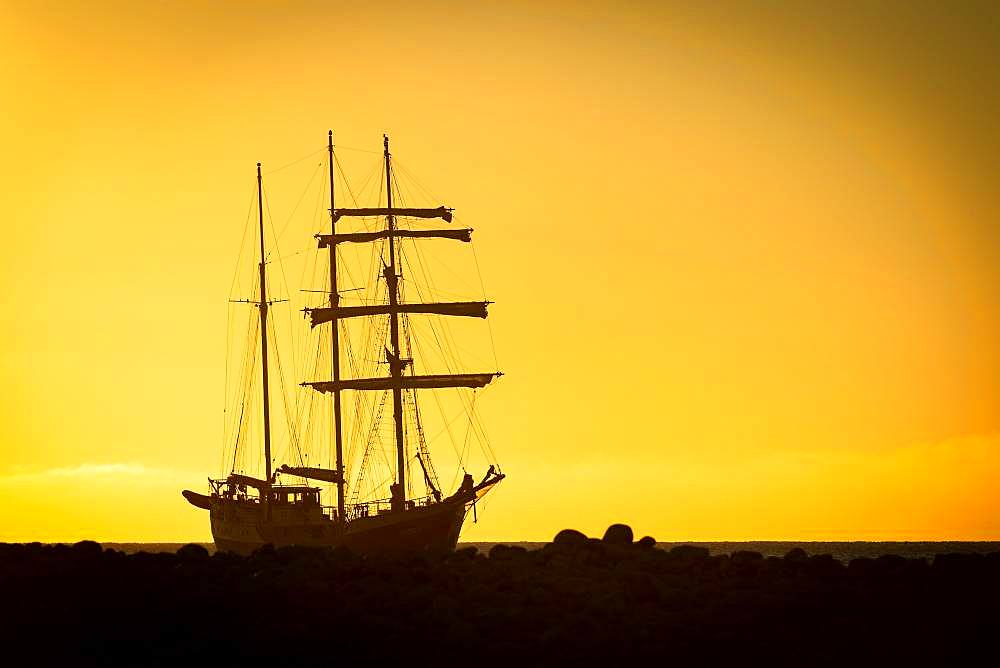 Barquentine Antigua at sunset, Kobbefjord, Spitsbergen archipelago, Svalbard and Jan Mayen, Norway, Europe