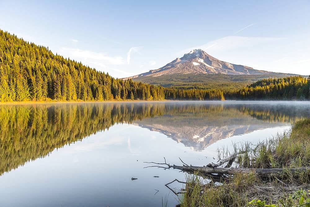 Reflection of the volcano Mt. Hood in Lake Trillium Lake, morning mood, Oregon, USA, North America