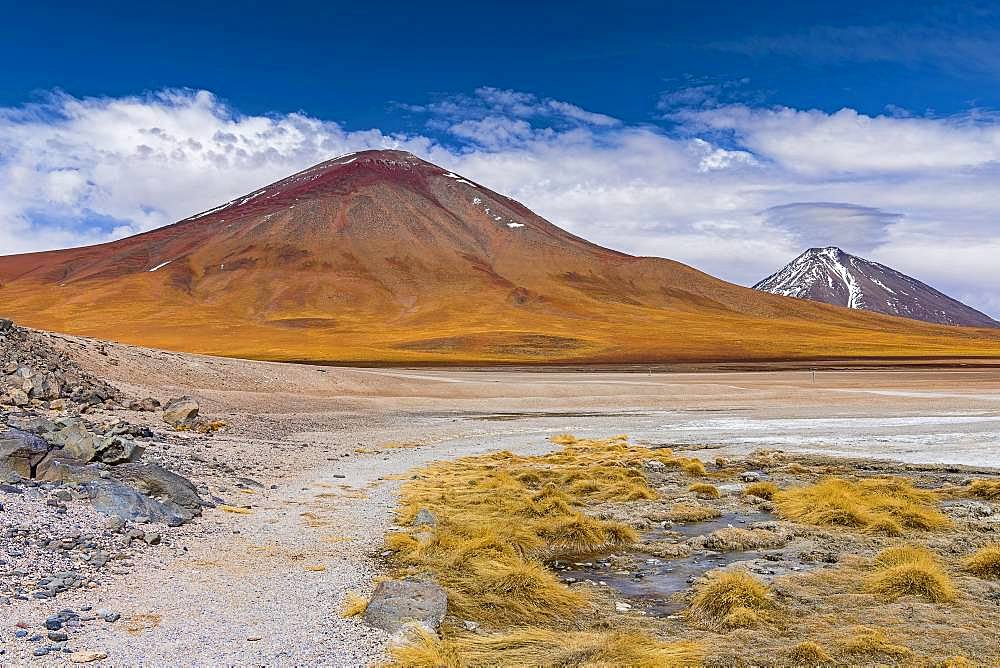 On the edge of Laguna Blanca, 4,331 m altitude, Andina Eduardo Abaro National Park, Altiplano, Departamento Potosi, Bolivia, South America