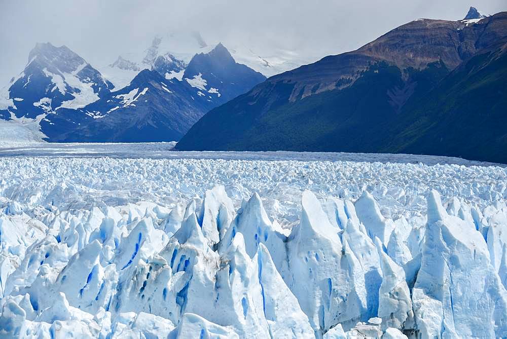 Glacier Tongue, Glaciar Perito Moreno Glacier, Glacier Break, Los Glaciares National Park, Andes, El Calafate, Santa Cruz, Patagonia, Argentina, South America