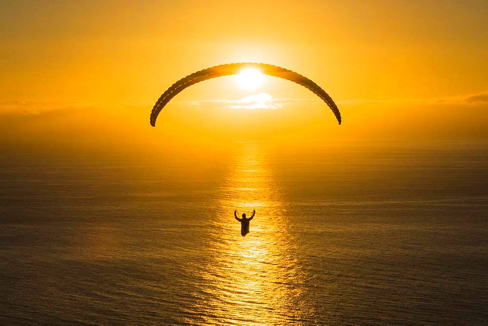 Paraglider over the Atlantic near Puerto Naos during sunset, Canary Island La Palma, Spain, Europe