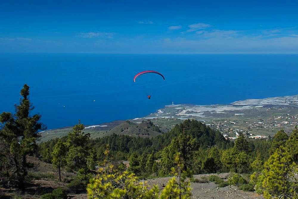 Paragliding over the Caldera near Puerto Naos, West Coast, La Palma, Canary Islands, Spain, Europe