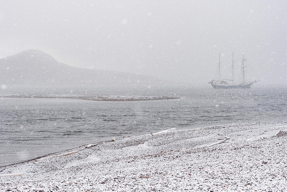 Barkentine Antigua in the snow drift, Snaddvika, Murchisonfjord, Nordaustland, Spitsbergen Archipelago, Svalbard and Jan Mayen, Norway, Europe