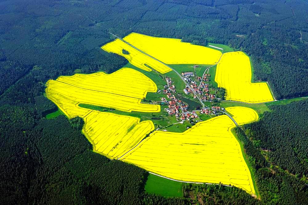 Yellow rape fields around Lichtenau, Thuringia, Germany, Europe