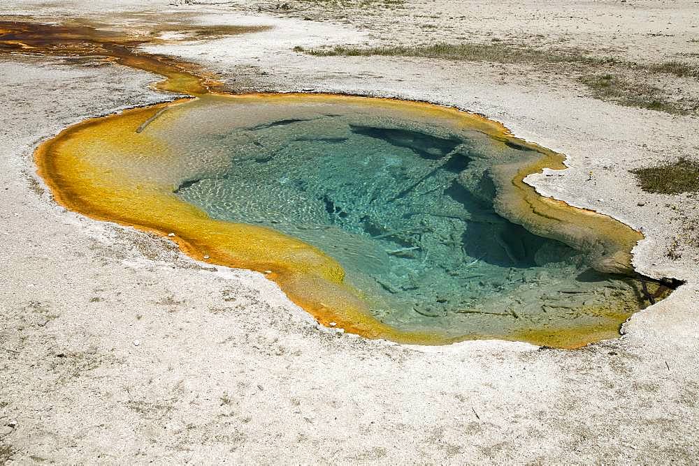 Avoca Spring, Yellowstone National Park, Wyoming, USA, North America