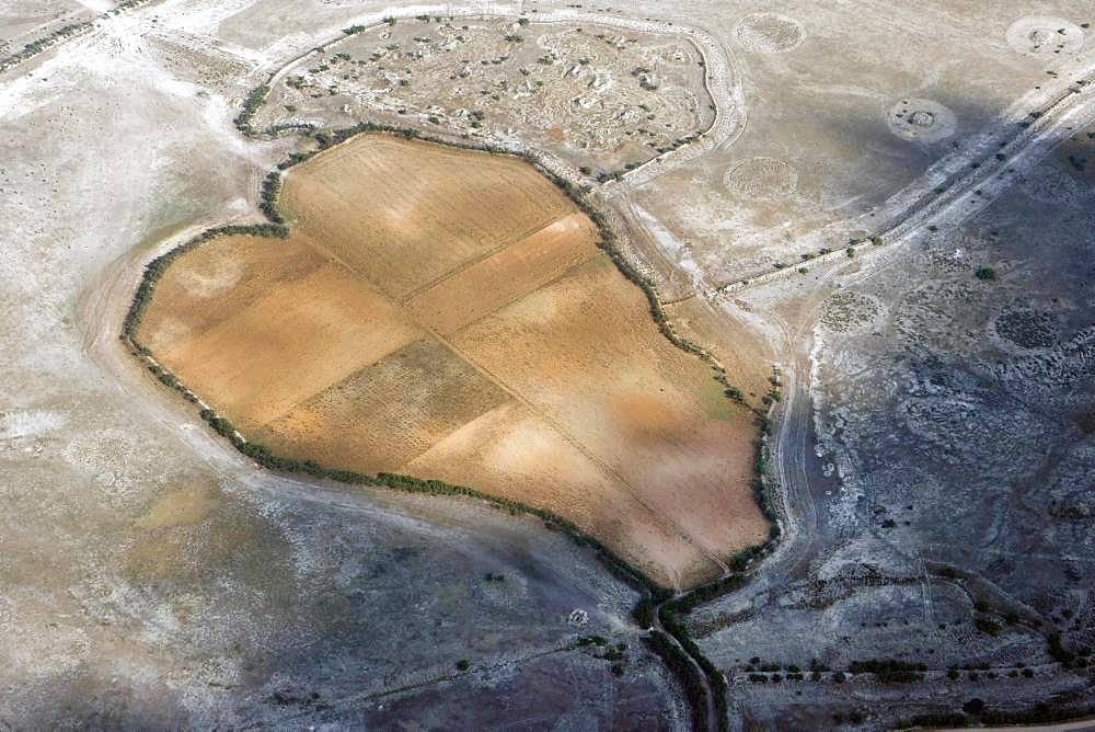 Heart-shaped fields in a dry landscape, Castilla-La Mancha, Spain, Europe