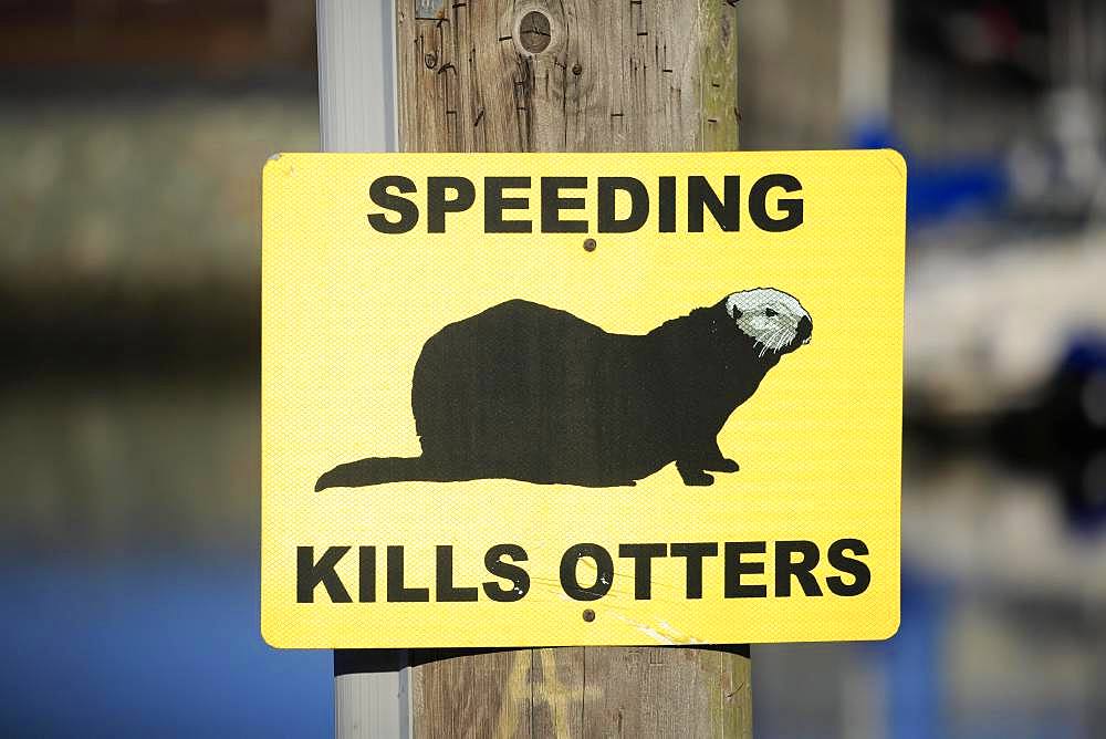 Traffic sign Caution Sea Otter, Speed Limit, Elkhorn Slough, California, USA, North America