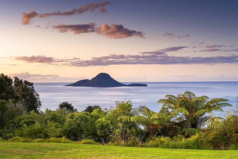 Volcano Island White Island from the mainland with palm trees, sunset, Whakaari, Volcano Island, Bay of Plenty, North Island, New Zealand, Oceania