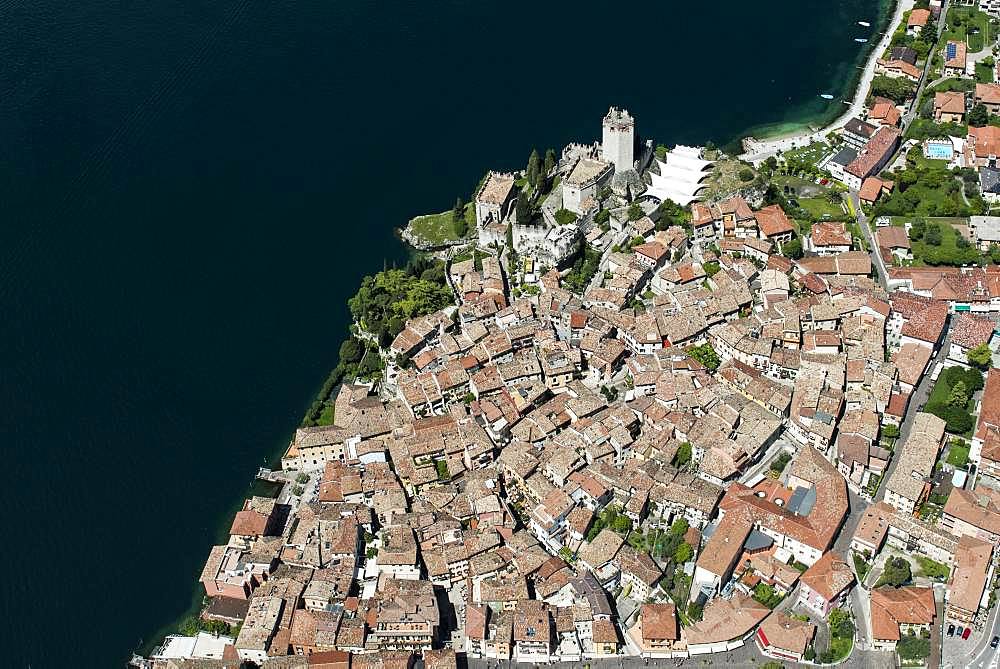 Old Town and Castello di Malcesine, Malcesine on Lake Garda, aerial view, Province of Veneto, Italy, Europe