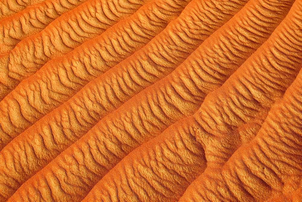 Sand ripples, texture on a sanddune, Tassili n'Ajjer National Park, Sahara, Algeria, Africa