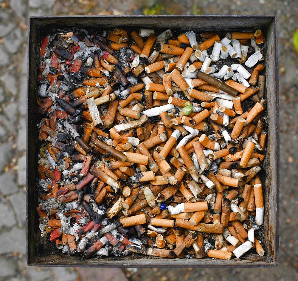 Full ashtray with cigarette butts, Berlin, Germany, Europe