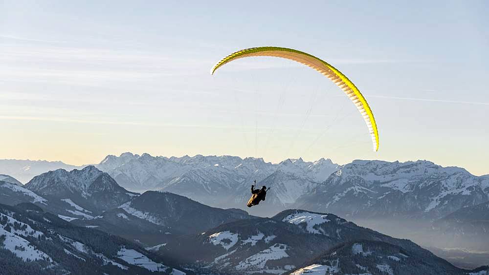 Paragliding in the air in front of a snow-covered Alpine chain in winter, Brixen im Thale, Tyrol, Austria, Europe