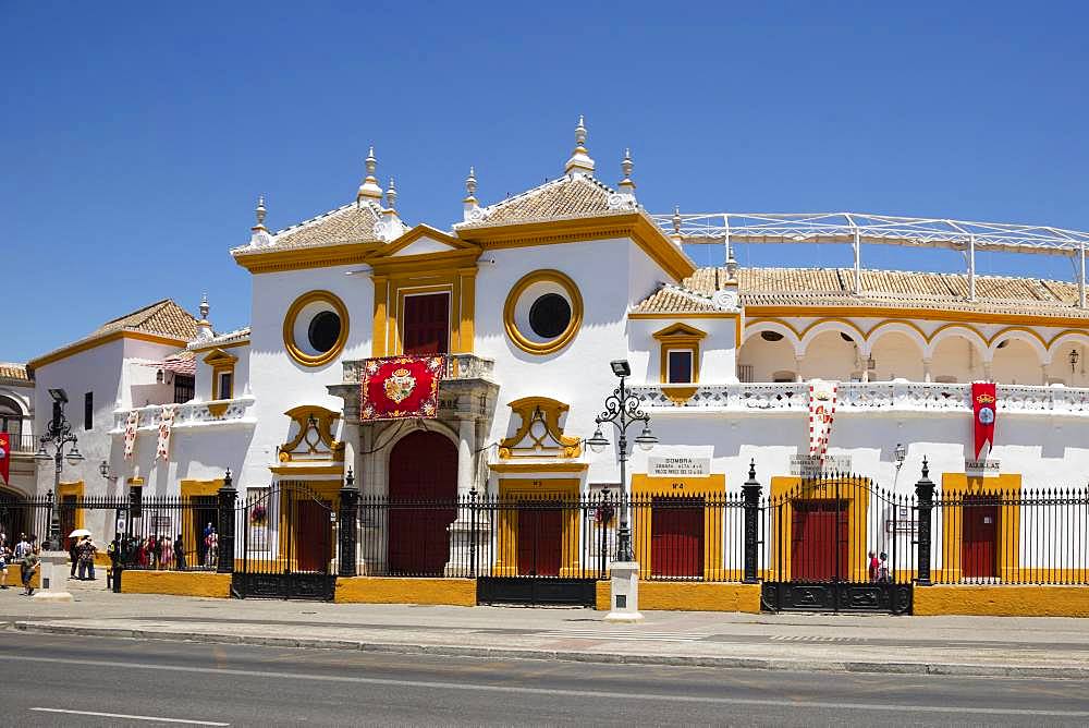 Bullring, La Real Maestranza, Seville, Andalusia, Spain, Europe