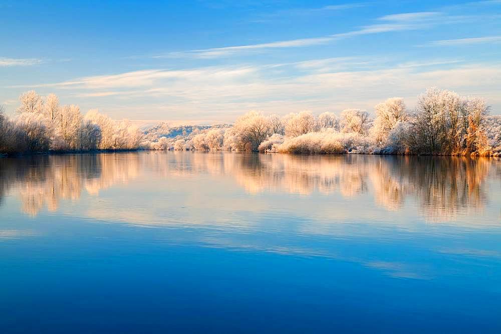 River landscape in winter at the river Saale, trees with frost and snow at the bank in the morning light, water reflection, Lower Saale Valley nature park Park, Saxony-Anhalt, Germany, Europe