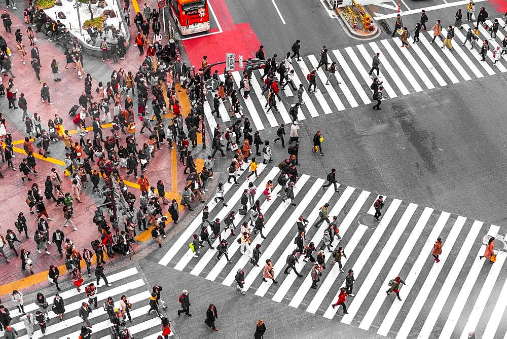 Shibuya crossing, crowds at intersection, many pedestrians cross zebra crossing, Shibuya, Udagawacho, Tokyo, Japan, Asia