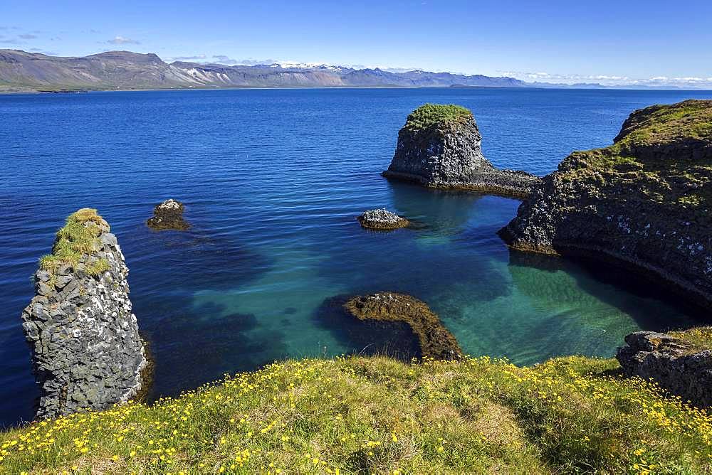 Steep coast, basalt coast near Arnarstapi, behind the mountains of the peninsula Snaefellsness, Iceland, Europe