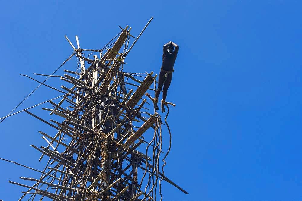 Man jumping from a bamboo tower, Pentecost land diving, Pentecost, Vanuatu, Oceania