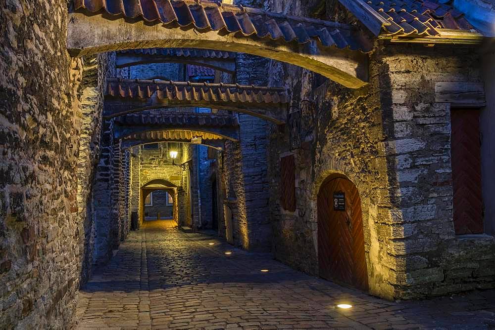 St. Catherine's Passage at night, Vanalinn, Tallinn, Estonia, Europe