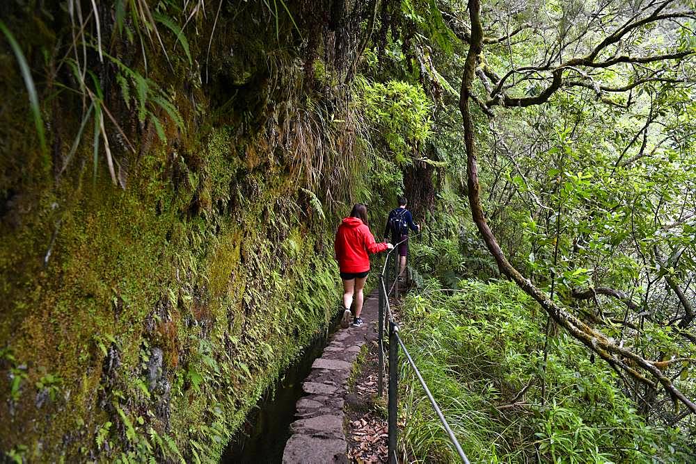 Young couple hiking on trail PR 9 Caldeirao Verde along a levada, Queimadas Rainforest, Madeira, Portugal, Europe