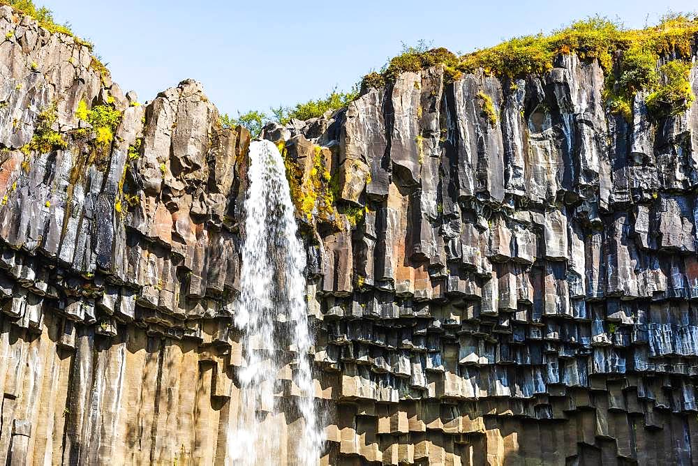 Svartifoss, Skaftafell National Park, Sudurland, South Iceland, Iceland, Europe