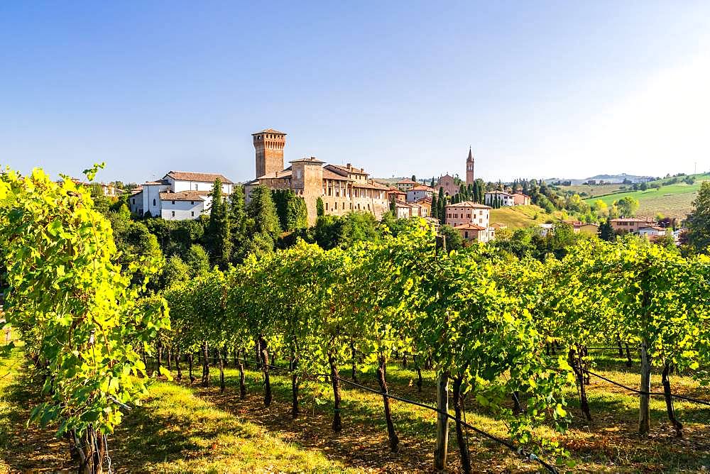 Vineyards in front of the Castello di Levizzano Rangone, Levizzano Rangone, Emilia-Romagna, Italy, Europe