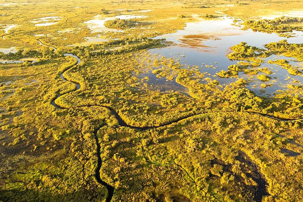 Aerial view, Swamp area, Okavango Delta, Botswana, Africa