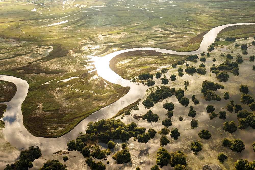 Aerial view, Swamp area, Okavango Delta, Botswana, Africa