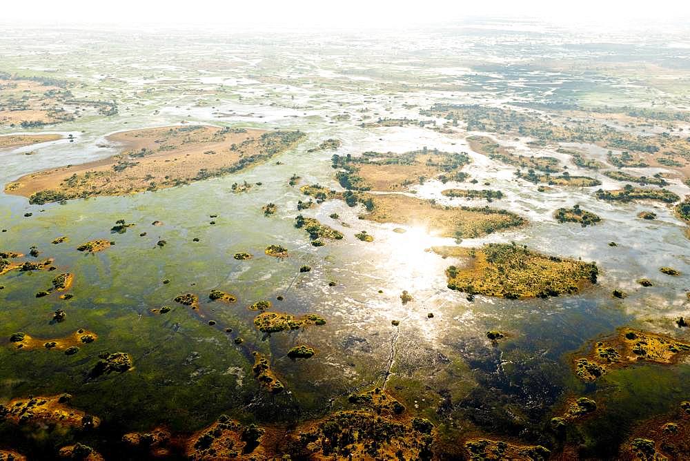 Aerial view, Swamp area, Okavango Delta, Botswana, Africa