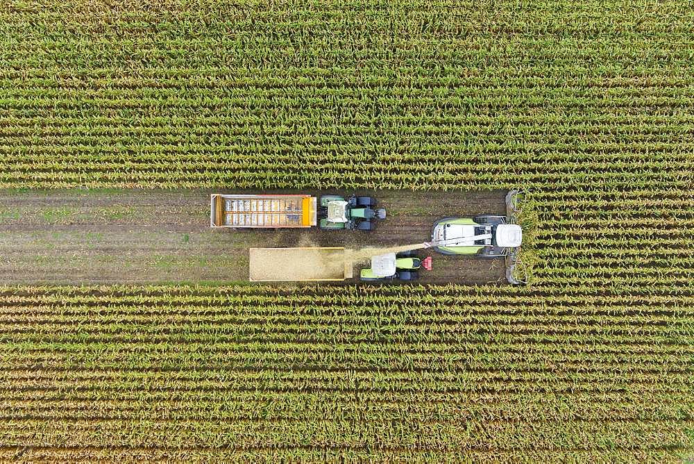 Aerial view, maize chopper and tractor with trailer at the maize harvest, Germany, Europe