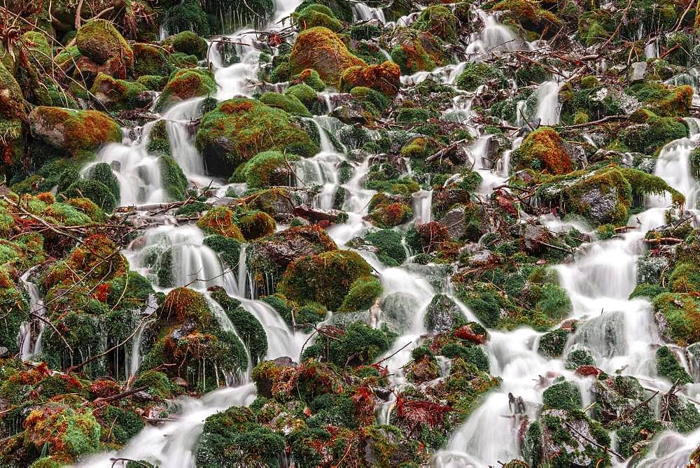 Water flows over mossed stones, Nagano, Matsumoto, Japan, Asia