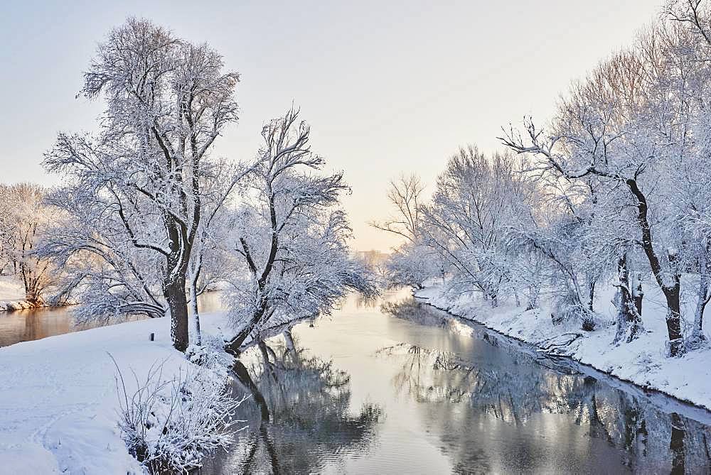 Landscape of the Donau with snowy trees in winter, Regensburg, Upper Palatinate, Bavaria, Germany, Europe