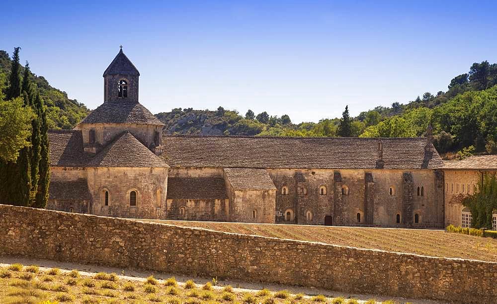 The Abbaye Notre-Dame de Senanque Romanesque Cistercian Abbey, near Gordes, Provence, France, Europe