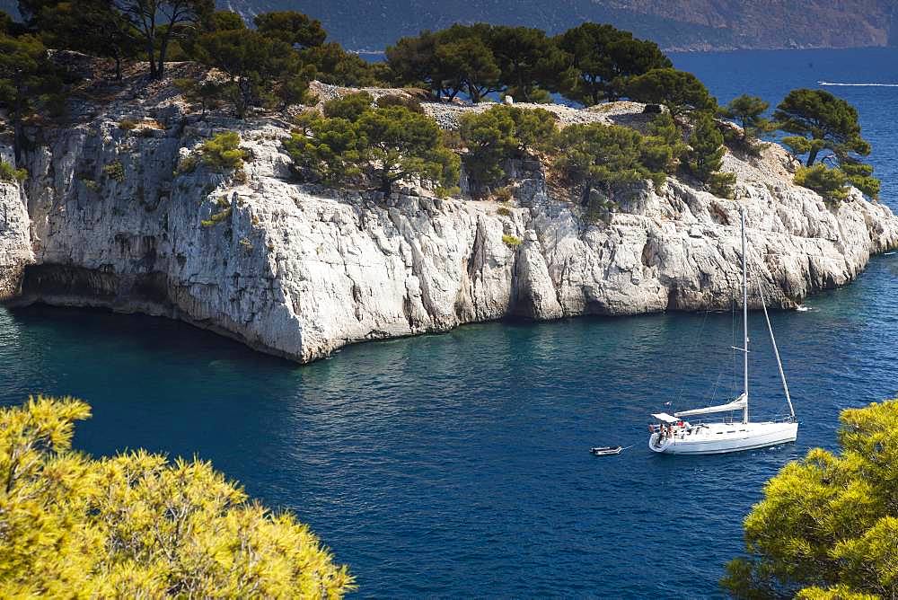 Rocky coast at Port Pin, Calanque de Port Pin, Provence, France, Europe