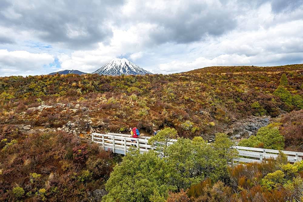 Hikers on bridge, hiking trail Tongariro Northern Circuit, Great Walk, volcano Mount Tongariro and Mount Ngauruhoe, Tongariro National Park, North Island, New Zealand, Oceania