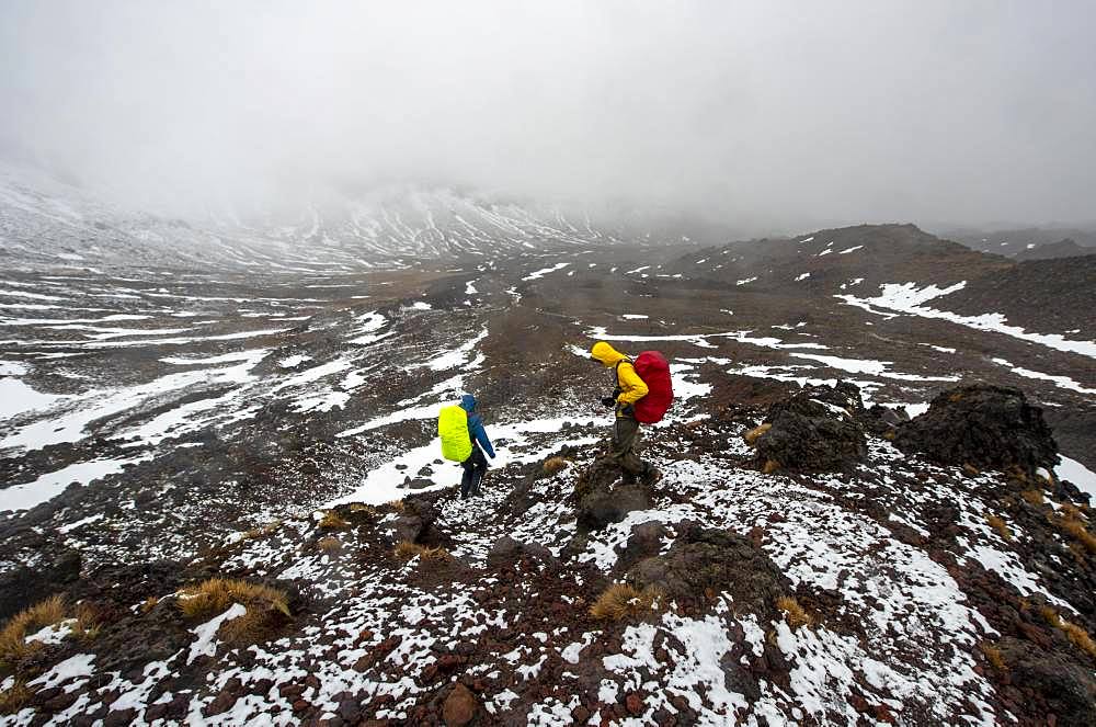 Hikers on hiking trail Tongariro Alpine Crossing in snow over lava fields, Tongariro National Park, North Island, New Zealand, Oceania