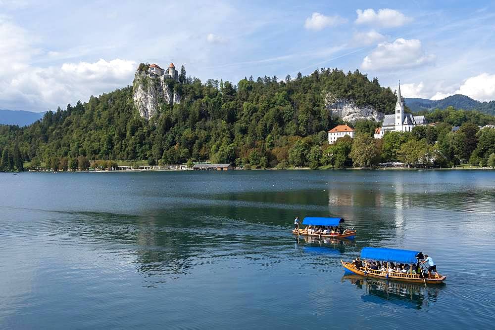 Lake Bled, with castle and church of Bled, Bled, Upper Ukraine Region, Slovenia, Europe