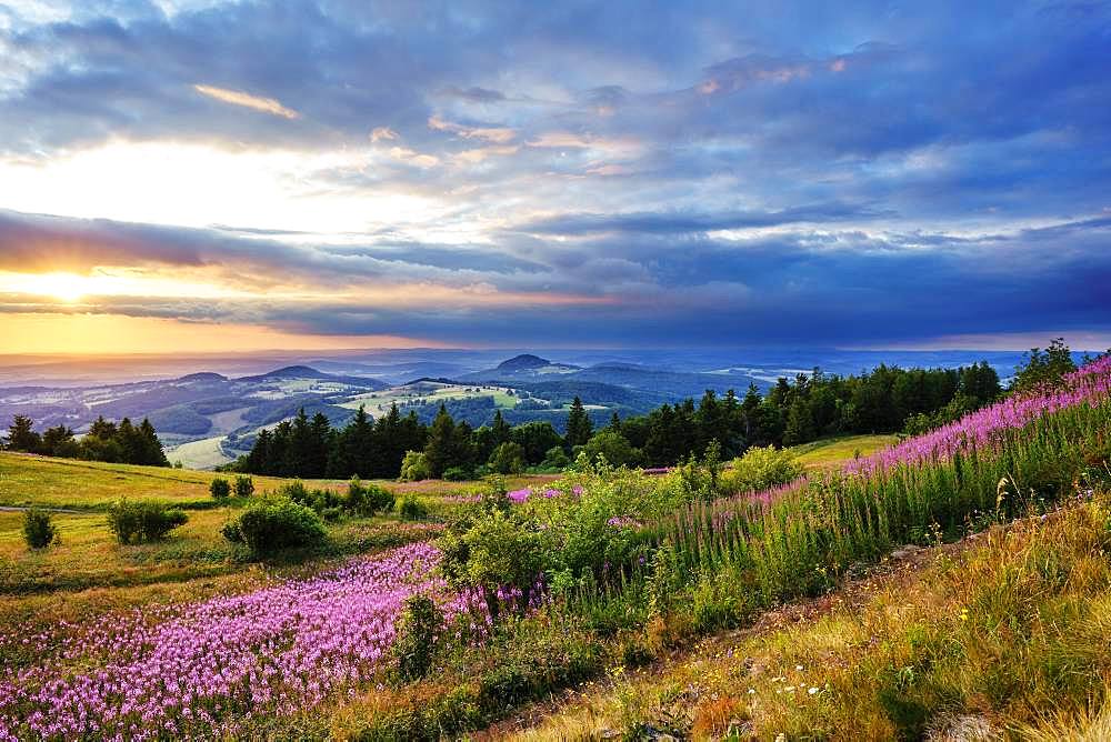 View from the Wasserkuppe to the hilly landscape at sunset, Hessian Rhoen Nature Park, Hesse, Germany, Europe