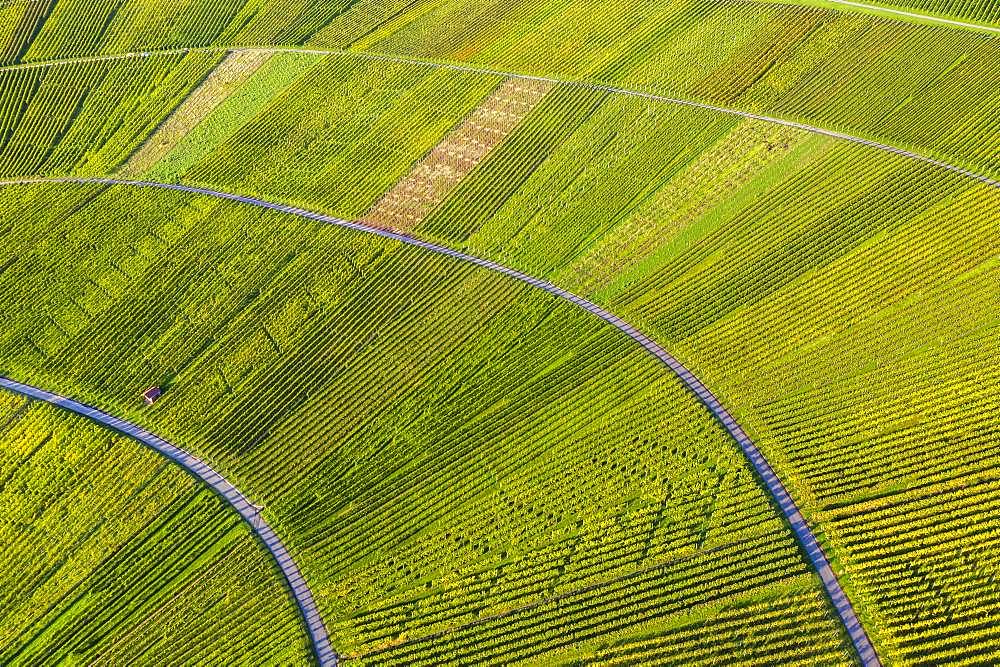 Drone shot, vineyards at Nonnenberg, Remstal near Schnait, Baden-Wuerttemberg, Germany, Europe