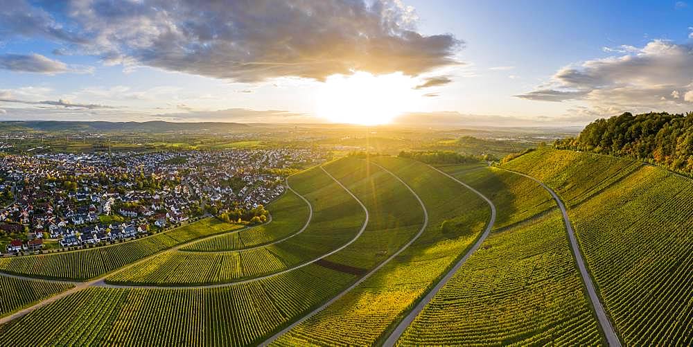 Drone shot, autumn, vineyards at Korber Kopf, Remstal near Schnait, Baden-Wuerttemberg, Germany, Europe