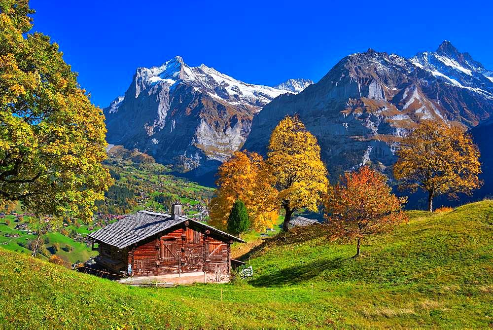 Mountain hut above Grindelwald, behind it Wetterhorn and Schreckhorn, Grindelwald, Canton Bern, Switzerland, Europe