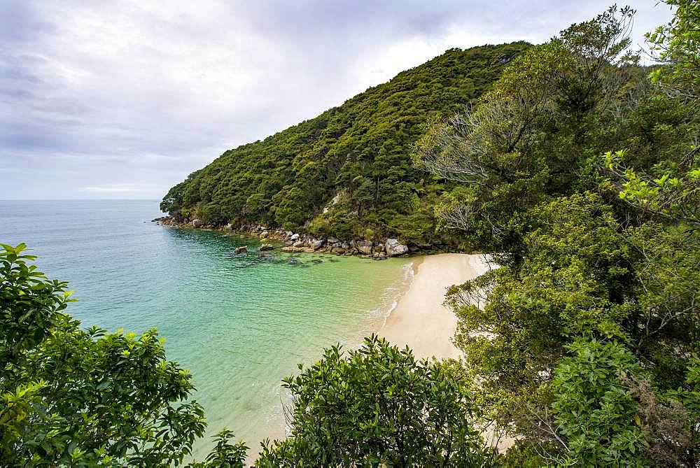 Small bay with beach, near Bark Bay, Abel Tasman National Park, Tasman, South Island, New Zealand, Oceania